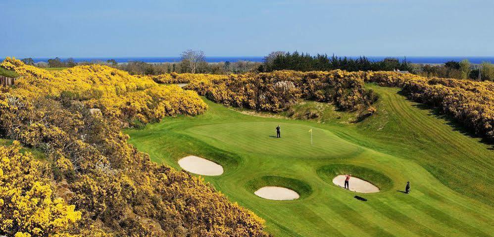 Druids Glen Resort Newtown Mount Kennedy Zewnętrze zdjęcie