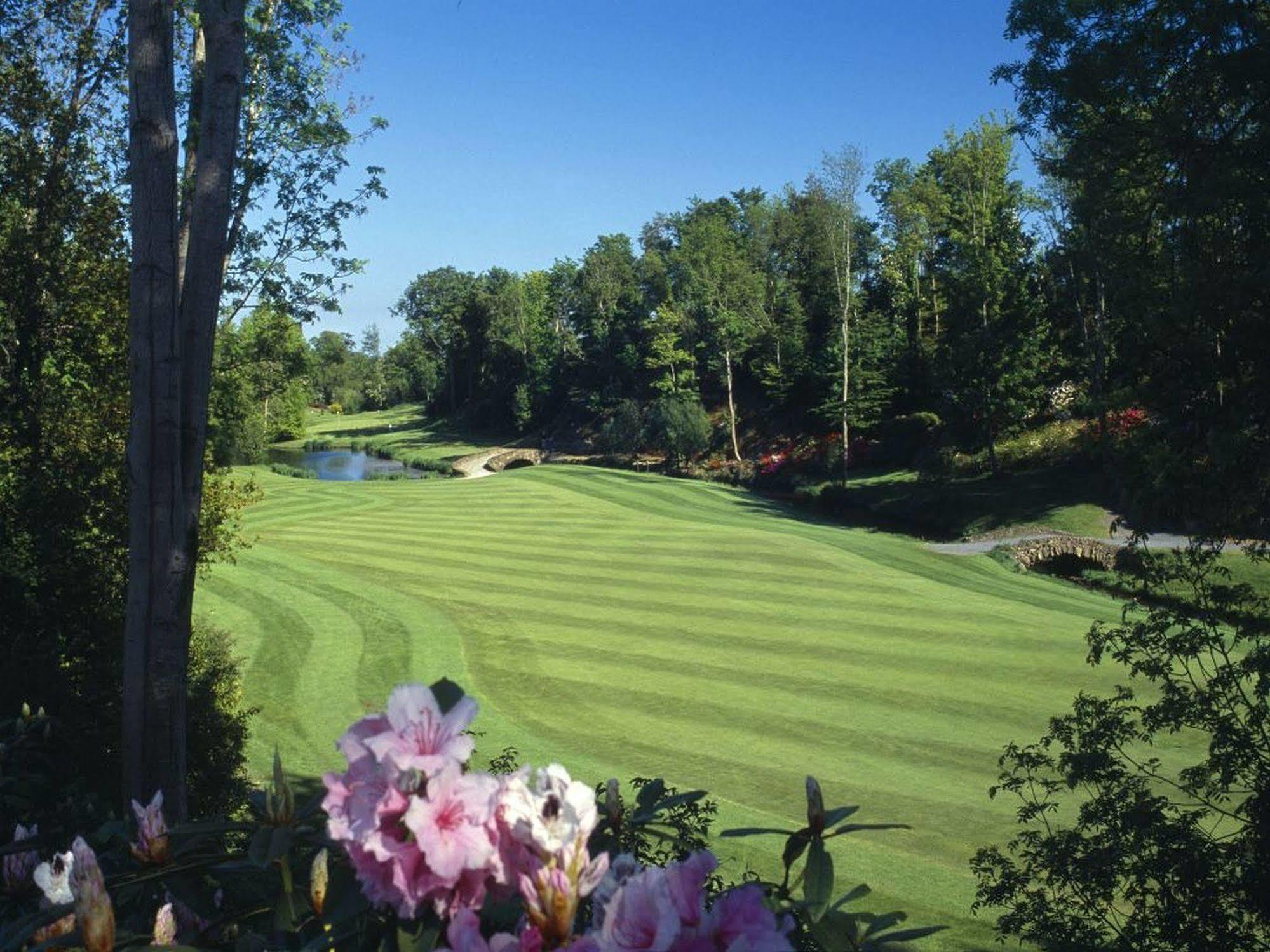 Druids Glen Resort Newtown Mount Kennedy Zewnętrze zdjęcie